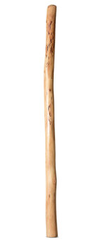 Natural Finish Didgeridoo (TW1670)